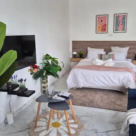 Apartment Le Cocon Cozy Studio, Parking, Stadium, And Shops Troyes